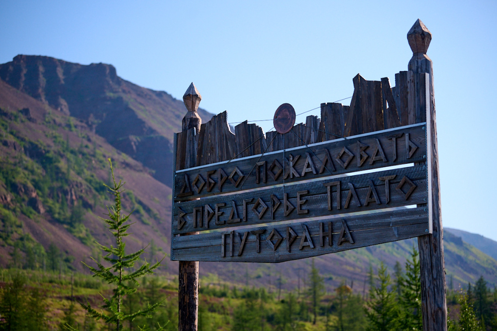 DSC_1383.jpg
